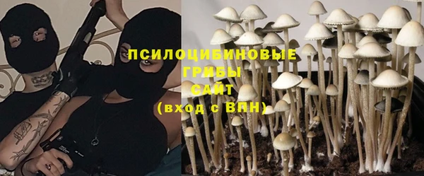 скорость Саки
